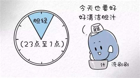 十二时辰对照表脏腑_十二时辰对照表脏腑经络走向,第3张